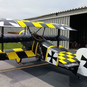 Meet your Posher, Doug